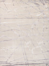 Exquisite Rugs Space Age 2687 Silver/Ivory Area Rug