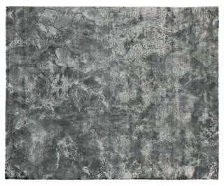 Exquisite Rugs Cassina 2691 Gray/Dark gray Area Rug main image