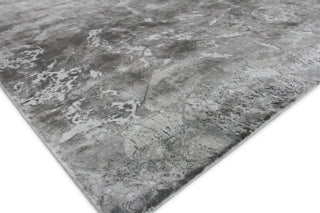 Exquisite Rugs Cassina 2691 Gray/Dark gray Area Rug Corner Image
