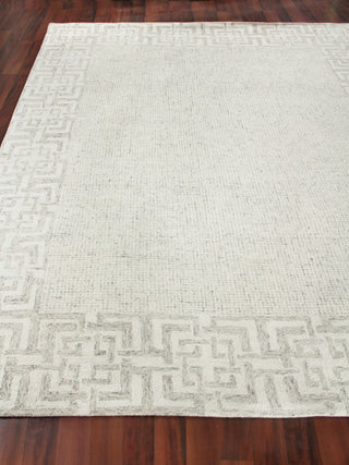 Exquisite Rugs Caprice 2704 Taupe/Ivory Area Rug Closeup Image