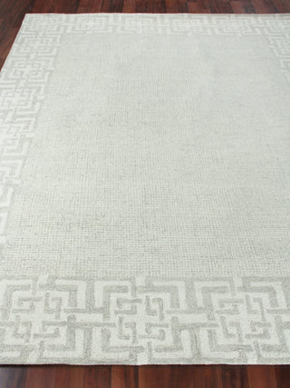 Exquisite Rugs Caprice 2706 Silver/Ivory Area Rug Closeup Image