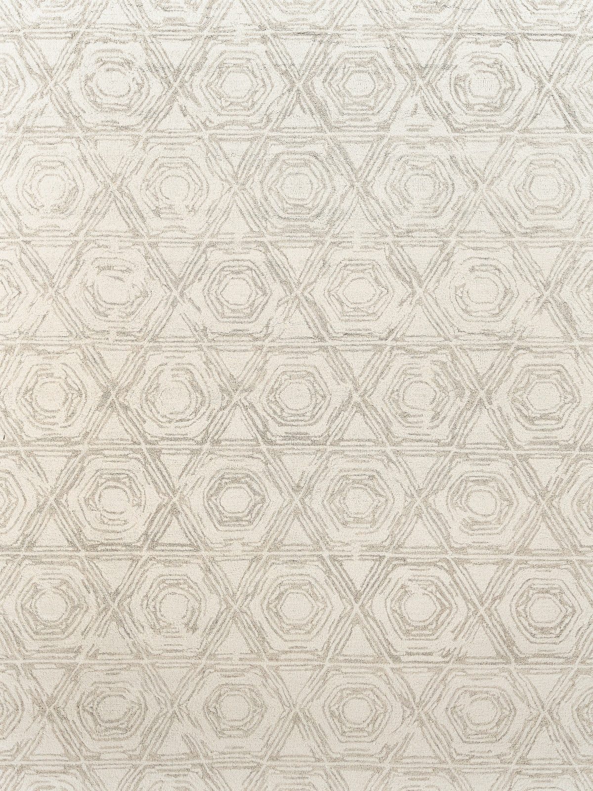 Exquisite Rugs Caprice 2707 Silver/Ivory Area Rug