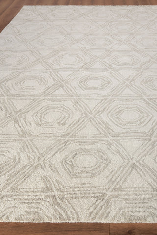 Exquisite Rugs Caprice 2707 Silver/Ivory Area Rug Closeup Image