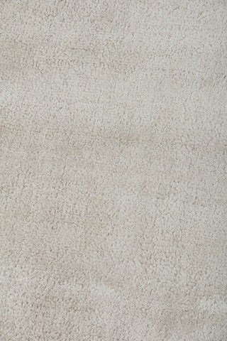 Exquisite Rugs Silk 2731 Silver Area Rug Closeup Image