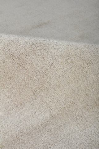 Exquisite Rugs Silk 2731 Silver Area Rug Lifestyle Image Feature