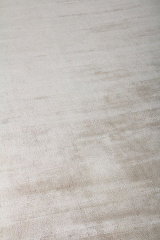 Exquisite Rugs Silk 2731 Silver Area Rug Detail Image