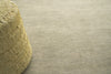 Exquisite Rugs Roche 2742 Light Green Area Rug Lifestyle Image Feature