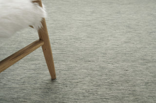 Exquisite Rugs Roche 2745 Green Area Rug Closeup Image