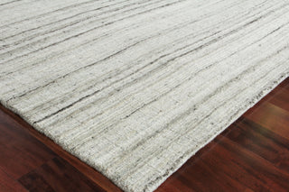 Exquisite Rugs Organica 2881 Beige/Light Gray Area Rug Corner Image