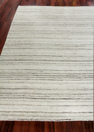 Exquisite Rugs Organica 2881 Beige/Light Gray Area Rug Closeup Image