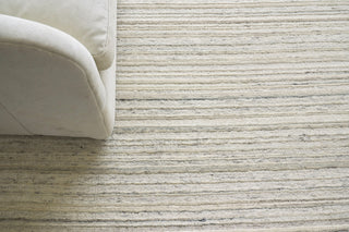 Exquisite Rugs Organica 2881 Beige/Light Gray Area Rug Lifestyle Image Feature