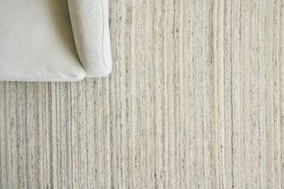 Exquisite Rugs Organica 2881 Beige/Light Gray Area Rug Detail Image