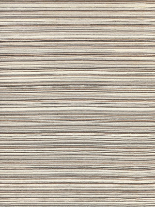 Exquisite Rugs Organica 2882 Ivory/Gray Area Rug main image