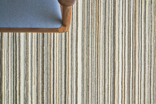 Exquisite Rugs Organica 2882 Ivory/Gray Area Rug Corner Image