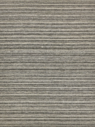Exquisite Rugs Organica 2883 Charcoal/Silver Area Rug main image