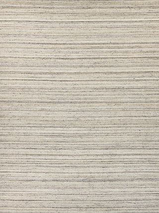 Exquisite Rugs Organica 2885 Gray/Beige Area Rug main image