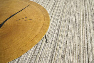 Exquisite Rugs Organica 2885 Gray/Beige Area Rug Detail Image