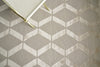 Exquisite Rugs Metro Velvet 3031 Beige Area Rug by The Met Pile Image