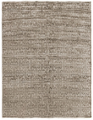 Exquisite Rugs Bamboo Silk 3076 Brown/Gray Area Rug main image