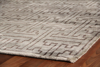 Exquisite Rugs Bamboo Silk 3076 Brown/Gray Area Rug Corner Image