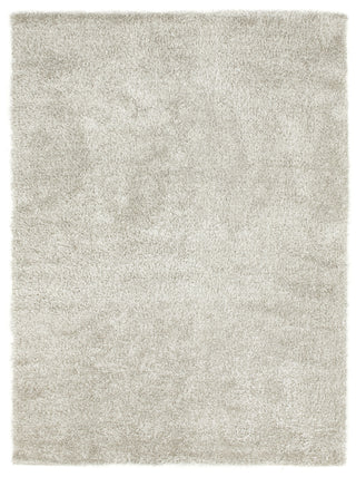 Exquisite Rugs Viscose Shaggy 3104 Gray Area Rug main image