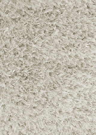 Exquisite Rugs Viscose Shaggy 3104 Gray Area Rug Closeup Image