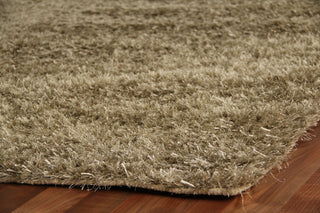 Exquisite Rugs Viscose Shaggy 3105 Beige Area Rug Corner Image
