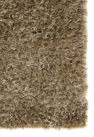 Exquisite Rugs Viscose Shaggy 3105 Beige Area Rug Closeup Image