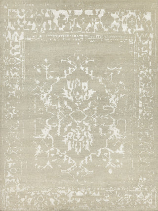 Exquisite Rugs Terras 3129 Gray/Platinum Area Rug by The Met main image