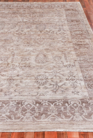 Exquisite Rugs Antique'd Silk 3284 Beige/Light Brown Area Rug Closeup Image
