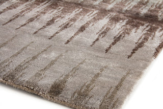 Exquisite Rugs Bamboo Silk 3286 Beige/Gray Area Rug Corner Image