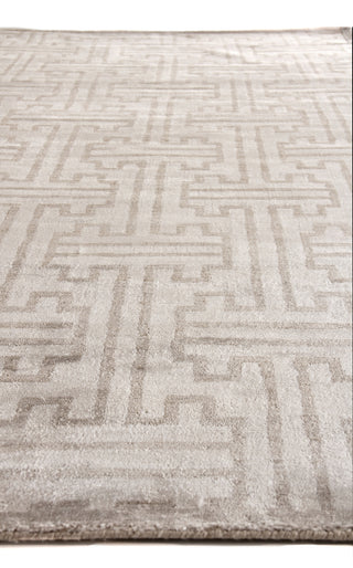 Exquisite Rugs Bamboo Silk 3290 Ivory/Taupe Area Rug Pile Image