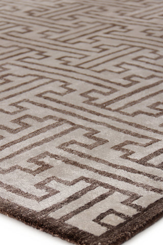 Exquisite Rugs Bamboo Silk 3291 Ivory/Brown Area Rug Corner Image