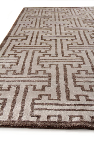 Exquisite Rugs Bamboo Silk 3291 Ivory/Brown Area Rug Closeup Image
