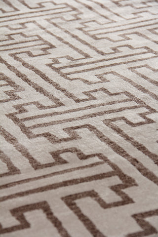 Exquisite Rugs Bamboo Silk 3291 Ivory/Brown Area Rug Lifestyle Image Feature