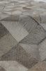Exquisite Rugs Natural Hide 3355 Gray/Multi Area Rug Lifestyle Image Feature