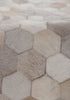 Exquisite Rugs Natural Hide 3358 Ivory/Multi Area Rug Lifestyle Image Feature