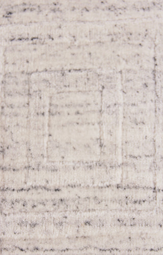 Exquisite Rugs Robin Embossed 3407 White Area Rug by The Met Closeup Image