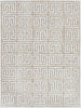 Exquisite Rugs Berlin 3419 Silver/Ivory Area Rug by The Met main image