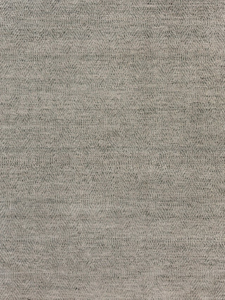 Exquisite Rugs Woven Earth 3426 Silver Area Rug main image