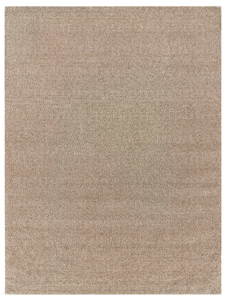 Exquisite Rugs Woven Earth 3428 Beige Area Rug main image