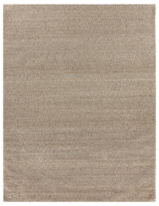 Exquisite Rugs Woven Earth 3431 Beige Area Rug main image