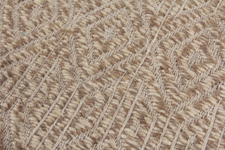 Exquisite Rugs Woven Earth 3431 Beige Area Rug Pile Image
