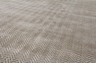 Exquisite Rugs Pavo 3465 Light Silver Area Rug Closeup Image