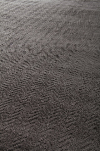 Exquisite Rugs Pavo 3466 Dark Gray Area Rug Lifestyle Image Feature