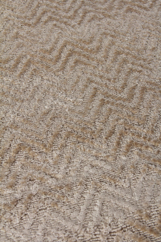 Exquisite Rugs Pavo 3469 Beige Area Rug Closeup Image