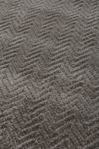 Exquisite Rugs Pavo 3470 Silver Area Rug Closeup Image