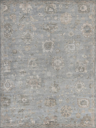 Exquisite Rugs Museum 3492 Blue/Gray Area Rug main image