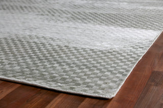 Exquisite Rugs Bubble 3529 Light Silver Area Rug Corner Image