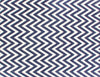 Exquisite Rugs Flatweave 3543 Navy/White Area Rug main image